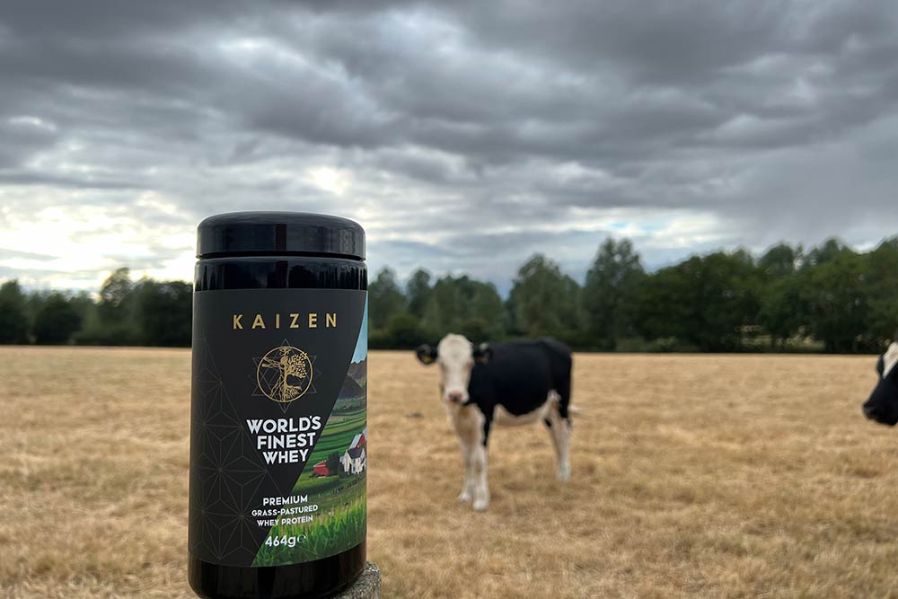 Kaizen Whey Cows